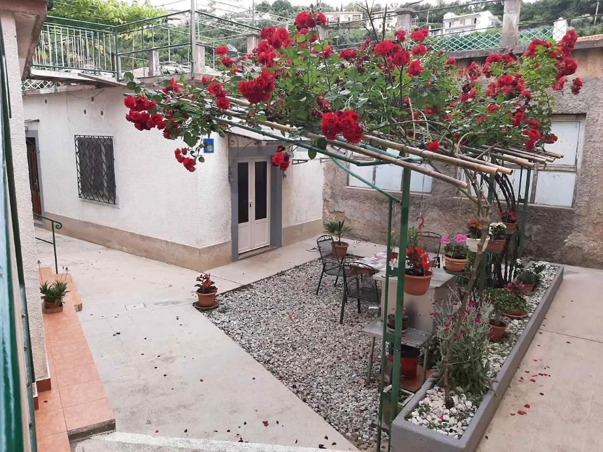 Apartmani Banina Croatia