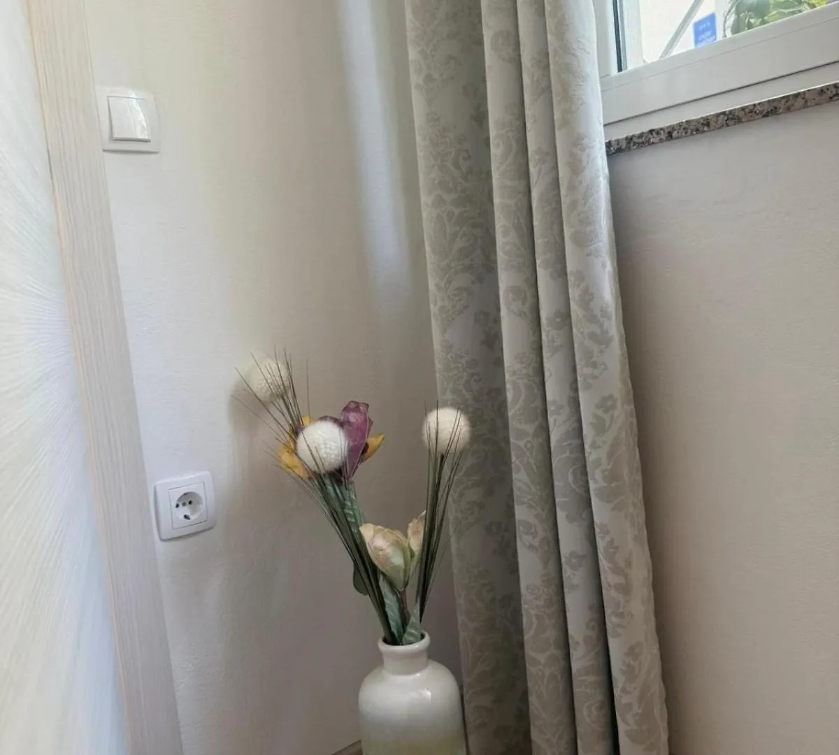 Апартаменты Apartmani Banina Ика
