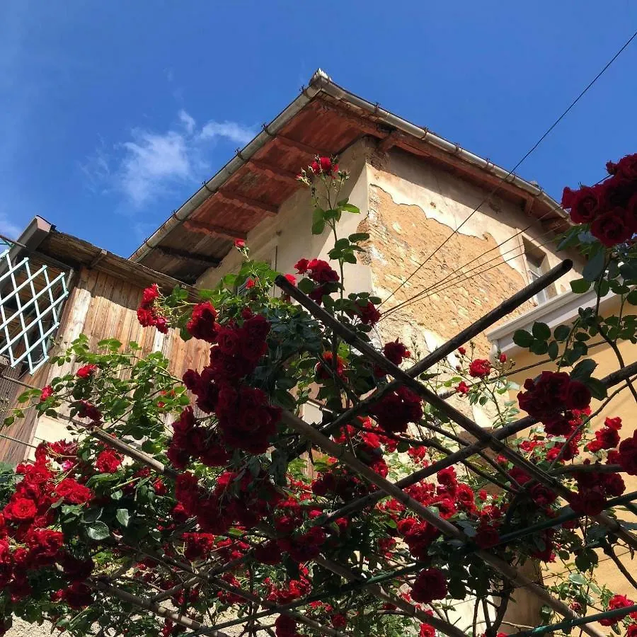 Apartmani Banina Croatia